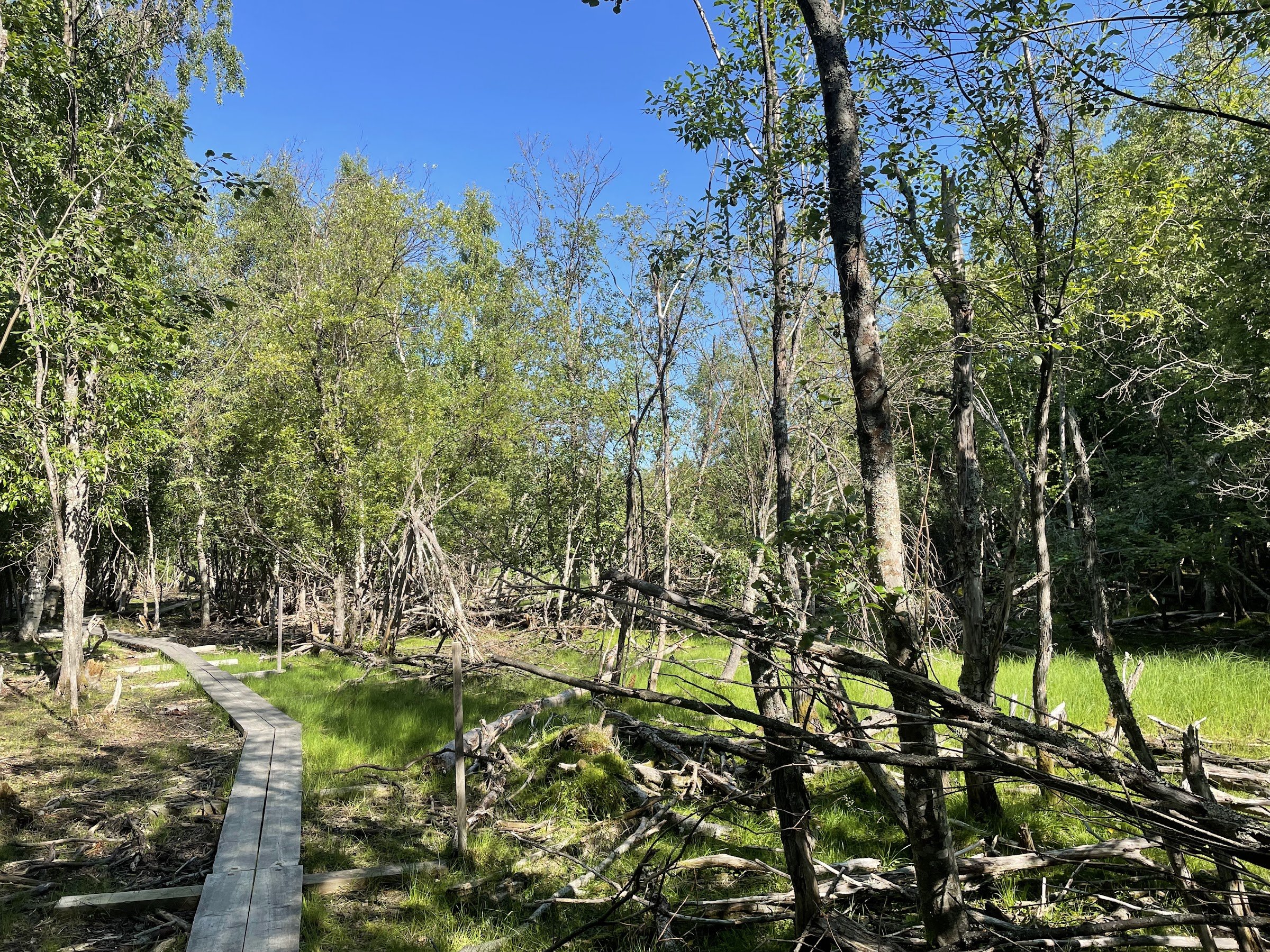 Hiastinhaara Nature Trail
